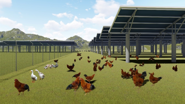 Chicken and PV complementation